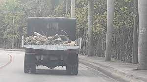 camion sin placa portada