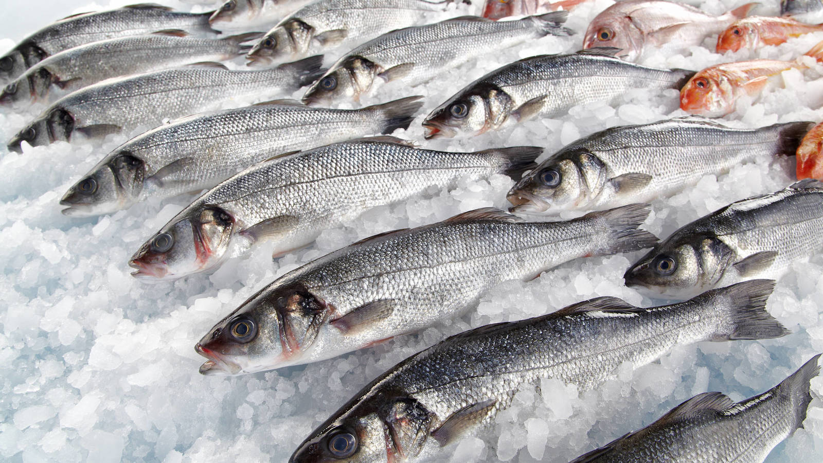 comes mucho pescado ten cuidado asi puede afectar a tu salud