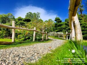 jardin 2