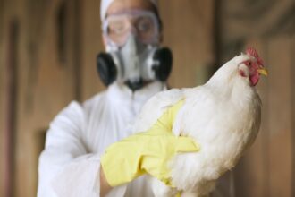 influenza aviar en Ecuador 1