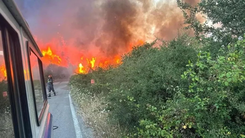 Incendio en la zona de Pianetti entre Gratteri y Cefalu en la provincia de Palermo 1200x674 1