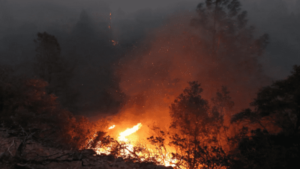 incendios forestales canada.png 1718483347